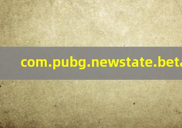 com.pubg.newstate.beta加速器