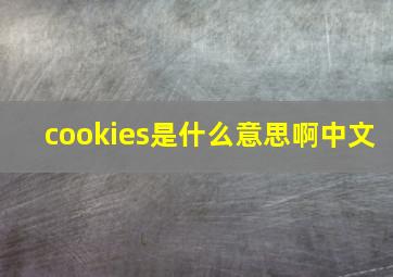 cookies是什么意思啊中文