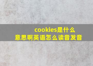 cookies是什么意思啊英语怎么读音发音