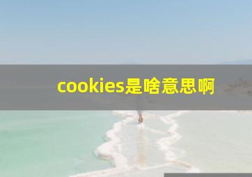 cookies是啥意思啊