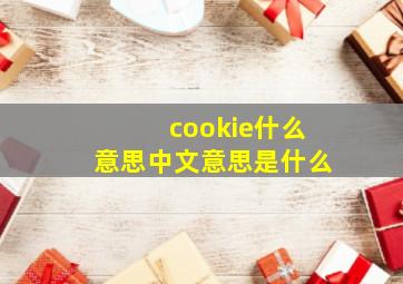 cookie什么意思中文意思是什么