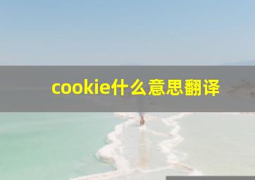 cookie什么意思翻译