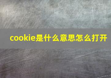 cookie是什么意思怎么打开