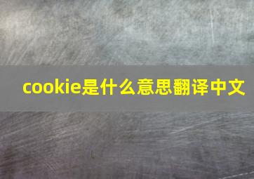 cookie是什么意思翻译中文