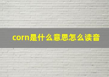 corn是什么意思怎么读音