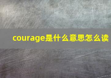 courage是什么意思怎么读