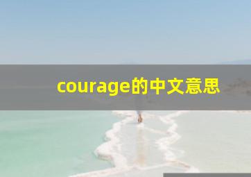 courage的中文意思