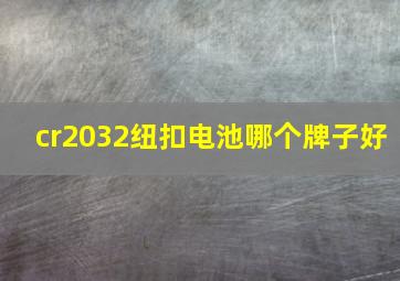 cr2032纽扣电池哪个牌子好