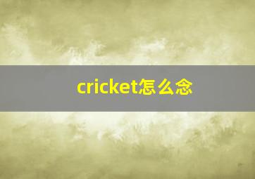 cricket怎么念