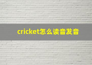 cricket怎么读音发音