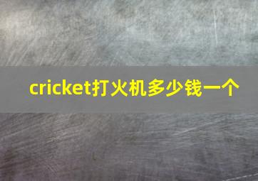 cricket打火机多少钱一个