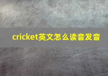 cricket英文怎么读音发音