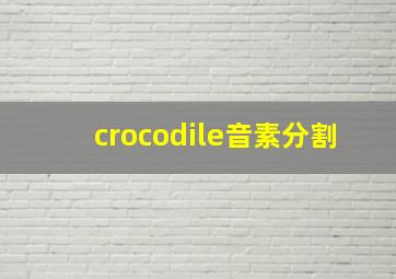 crocodile音素分割