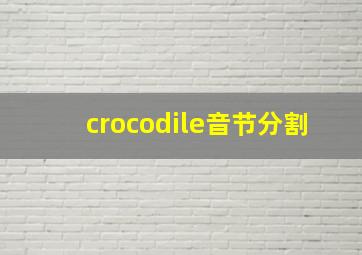 crocodile音节分割