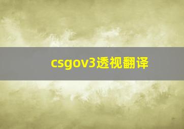 csgov3透视翻译