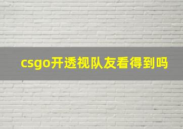 csgo开透视队友看得到吗