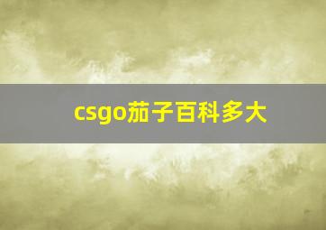 csgo茄子百科多大