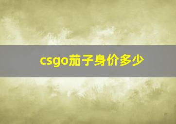 csgo茄子身价多少