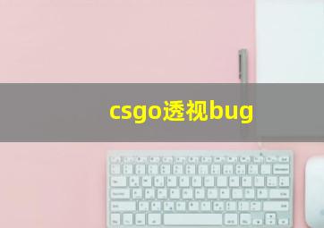 csgo透视bug