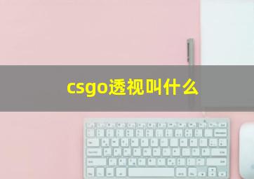 csgo透视叫什么