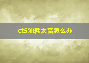 ct5油耗太高怎么办