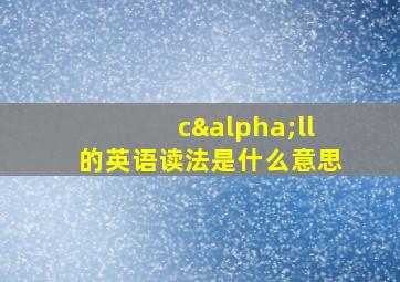 cαll的英语读法是什么意思