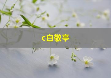 c白敬亭