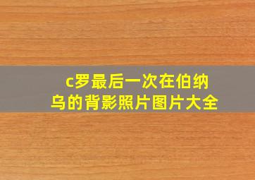 c罗最后一次在伯纳乌的背影照片图片大全