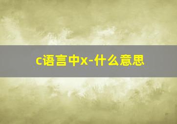 c语言中x-什么意思