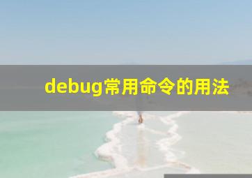 debug常用命令的用法