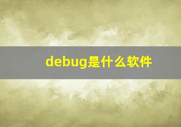 debug是什么软件