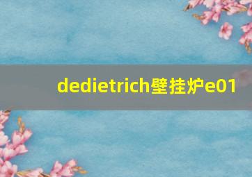 dedietrich壁挂炉e01