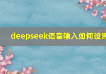 deepseek语音输入如何设置