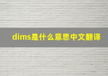 dims是什么意思中文翻译