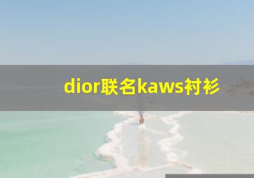 dior联名kaws衬衫