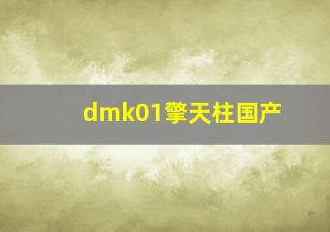 dmk01擎天柱国产