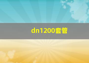 dn1200套管