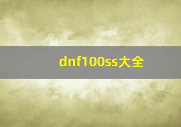 dnf100ss大全