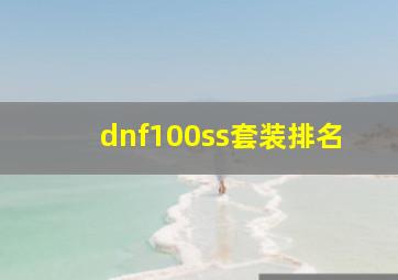 dnf100ss套装排名