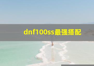 dnf100ss最强搭配