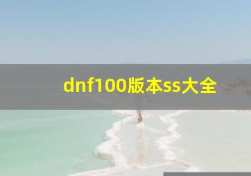 dnf100版本ss大全