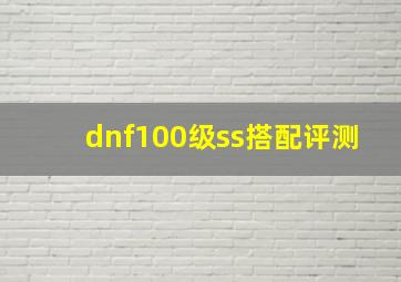 dnf100级ss搭配评测