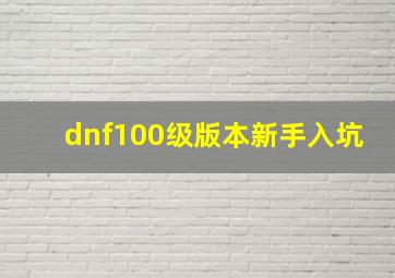 dnf100级版本新手入坑