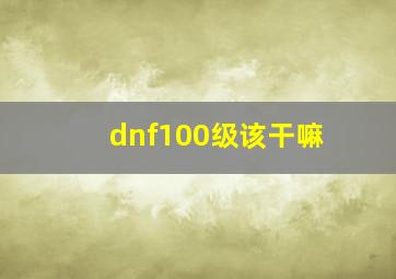 dnf100级该干嘛