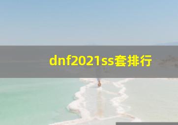 dnf2021ss套排行