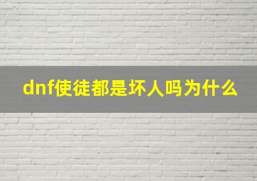 dnf使徒都是坏人吗为什么