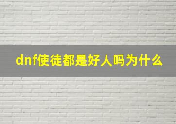 dnf使徒都是好人吗为什么