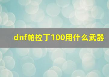 dnf帕拉丁100用什么武器