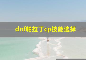 dnf帕拉丁cp技能选择