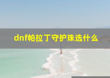 dnf帕拉丁守护珠选什么